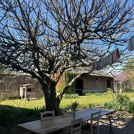 Le Petit Lavoir - Joli à Appartement *